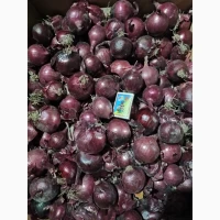 Цибуля червона ( лук синій) Марс