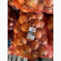 Продам цибулю опт