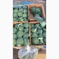Капуста броколі