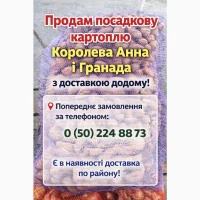 Картопля насіннева