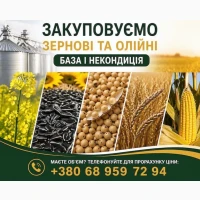 Закуповуємо с.г продукцію. База, некондиція