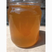 Продам липовий мед