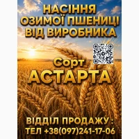 Продам елітне насіння (озимої) пшениці Астарта 2026 року