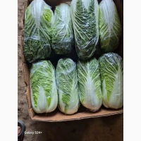 Продам пекінську капусту