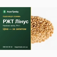 Насіння пшениці РЖТ Лінус (RAGT) - озима, еліта, РН-1