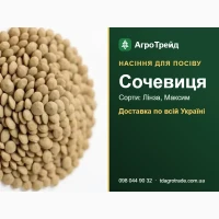 Продам насіння сочевиці - Лінза, Максим