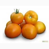 Семена томата KS 17 F1 Китано