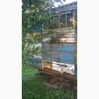 Продам бджолопавільйон вдуже хорошому стані