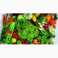 Продам семена овощей опт и розница, новых сортов цветов, насіння овочів купити