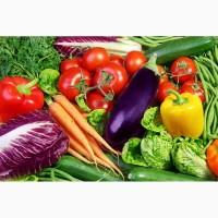 Продам семена овощей опт и розница, новых сортов цветов, насіння овочів купити