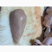 Продам Куриное филе