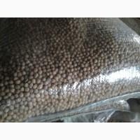 Нут опт от производителя