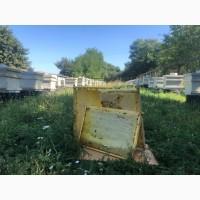 Пчелы пасека семьи пчелопакеты