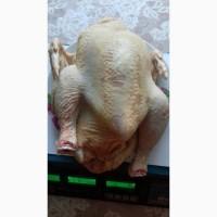 Продам мясо домашнего бройлера