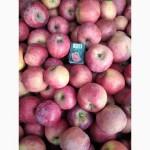 Яблуко з особистого саду