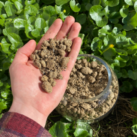 Роздріб з Доставкою по Україні! Подсолнечный шрот/Соняшниковий шрот