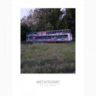 Продам пчелопакеты Карпатка