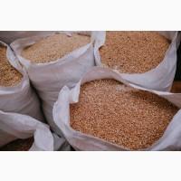 Постійно закуповуємо побічні продукти зернових, олійних та бобових