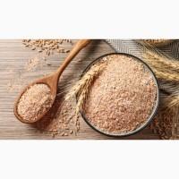 Компанія продає гуртом на експорт висівки пшеничні від 22 т