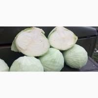 Продам капусту. Агресор