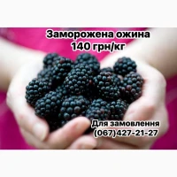 Продам заморожену культивовану ожину ( шокова заморозка)