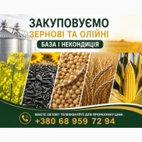 Закуповуємо с/г культури (база та некондиція)