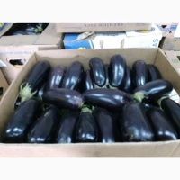 Продам баклажан