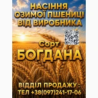 Продам елітне насіння (озимої) пшениці Богдана 2026 року