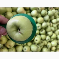Продам Голден делішес