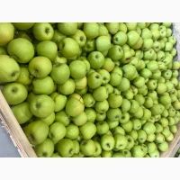 Продам Голден делішес