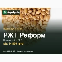 Насіння пшениці РЖТ Реформ (RAGT) - озима, еліта, РН-1, від 14 800 грн/т
