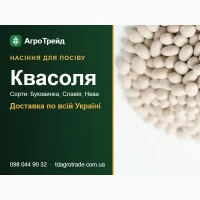 Продам насіння квасолі - Буковинка, Славія, Нева