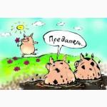 КомбикормАртек - вафли для свиней. Растут быстрей