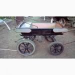 Продам молодого жеребца и карету