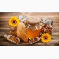 Продукты Пчеловодства Пчелиная Пыльца Восковой Моли Огневка Прополис Медовуха Перга Подмор