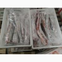 Говяжий субпродукты Жилка. аорта, пенис хвост