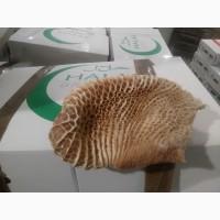 Говяжий субпродукты Жилка. аорта, пенис хвост