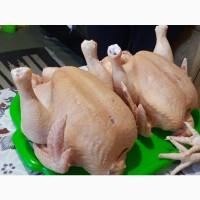 Продам тушку бойлера (домашняя)