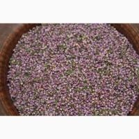 Верес, цвіт вересу, верес