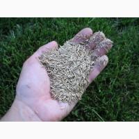Haciння вівсяниці лyгової