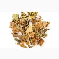 Дурнишник обыкновенный (нетреба звичайна) трава 1 кг