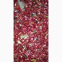 Морожена брусниця