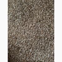 Продам жито 10-12т