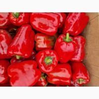 Продам перець куб польот і капі