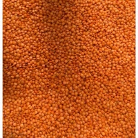 Продам сочевицю червону, шліфовану