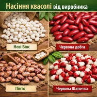 Насіння квасолі з гарантією викупу врожаю