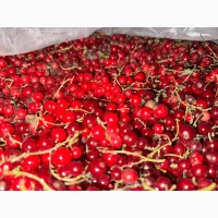 Продам порічку