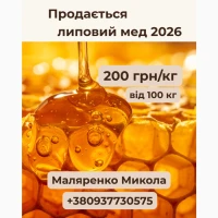 Липовий мед урожаю 2026