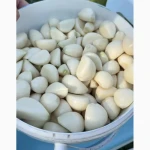 Продам чищенний (голий)часник