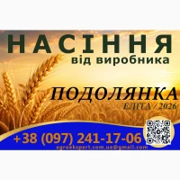 Елітне насіння озимої пшениці 2026 року від виробника